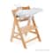 Hauck 3-in-1 Table Alpha Tray & 5-Point Harness Set